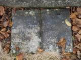 image of grave number 199171